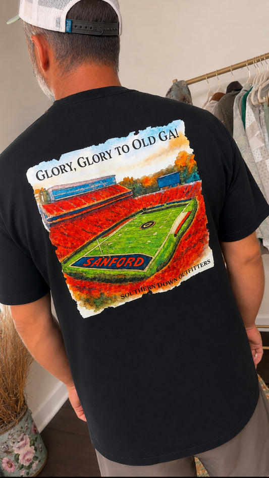 Glory Glory to Old GA! Tee